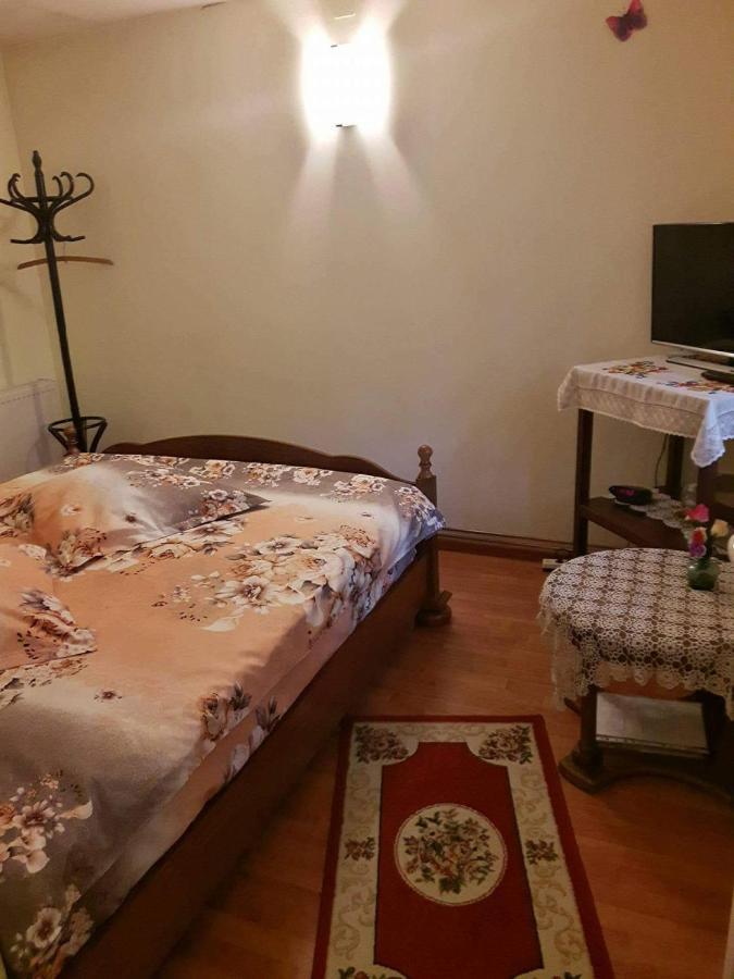 Harmonia Studio Lägenhet Braşov Exteriör bild