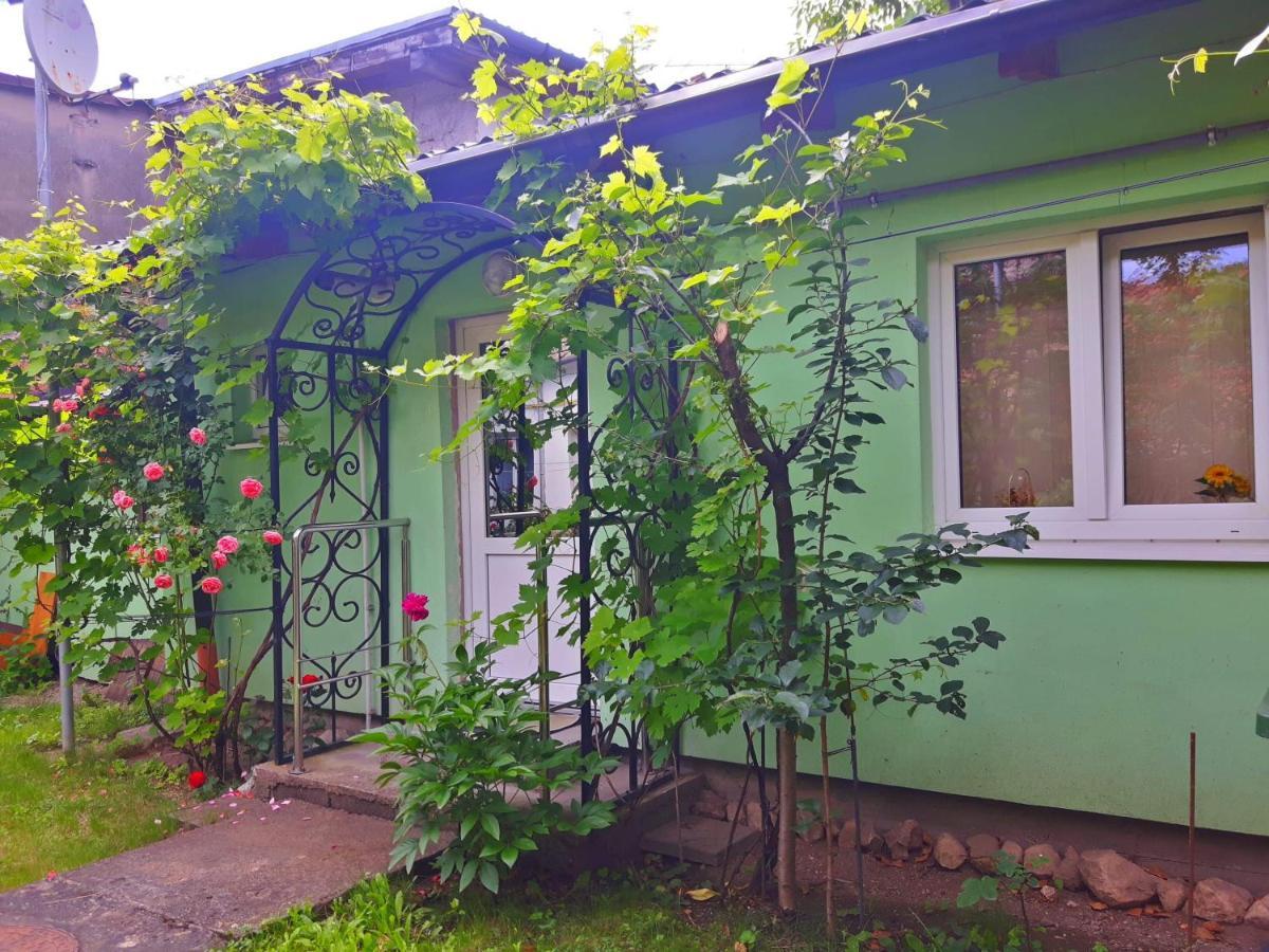 Harmonia Studio Lägenhet Braşov Exteriör bild