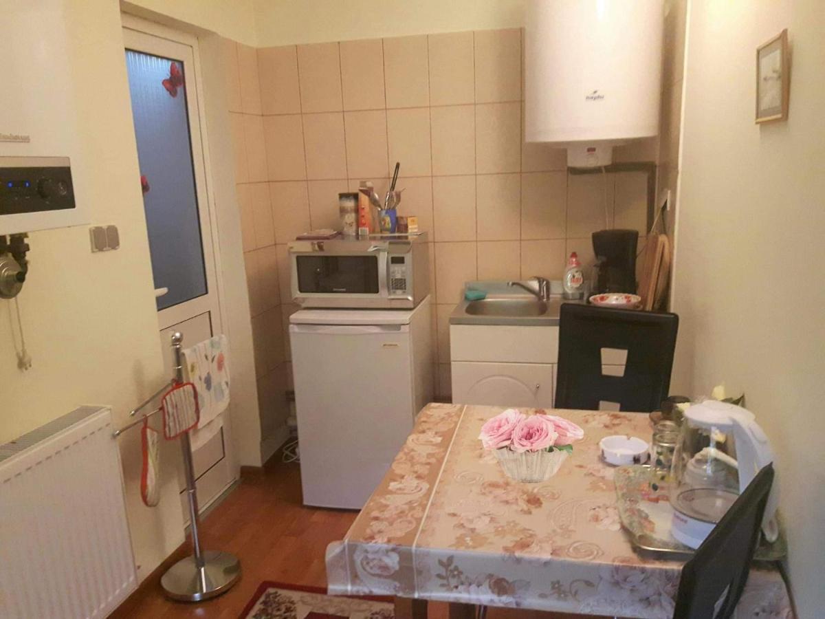 Harmonia Studio Lägenhet Braşov Exteriör bild